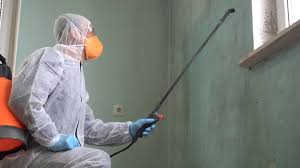 Best Mold Damage Restoration  in Yorba Linda, CA